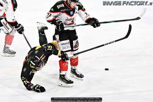 2025-02-08 Mastini Varese-Hockey Caldaro 1733 Gianluca Tilaro